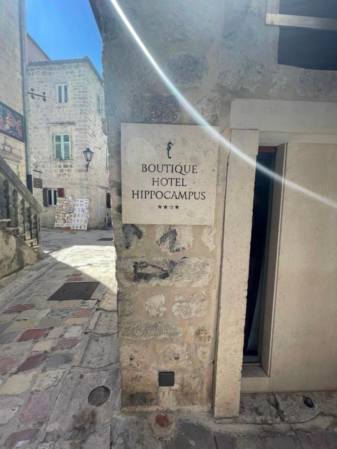 Boutique Hotel Hippocampus Kotor Ngoại thất bức ảnh